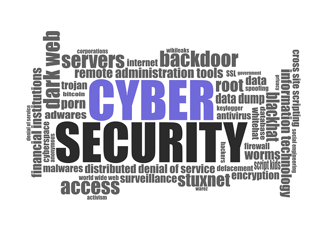 Business Safety and Cyber Security