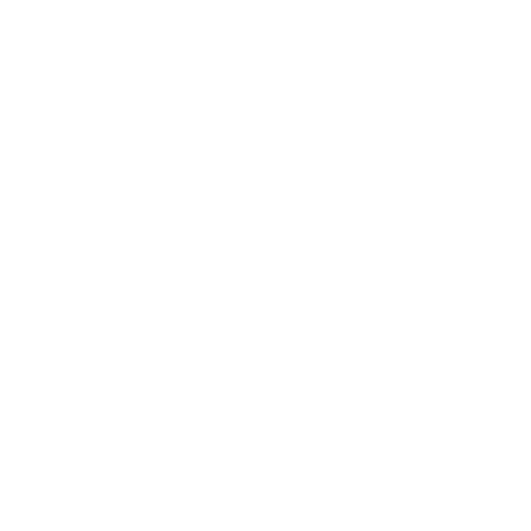 AI Strategy & Roadmap Development